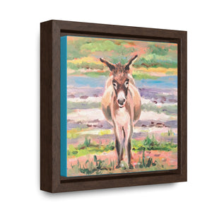 South Caicos Donkey #3 on Square Framed Premium Gallery Wrap Canvas