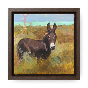 Open image in slideshow, South Caicos Donkey #7 on Square Framed Premium Gallery Wrap Canvas
