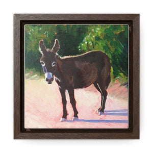 Open image in slideshow, South Caicos Donkey #5  Print on Square Framed Premium Gallery Wrap Canvas
