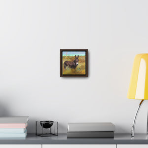 South Caicos Donkey #7 on Square Framed Premium Gallery Wrap Canvas