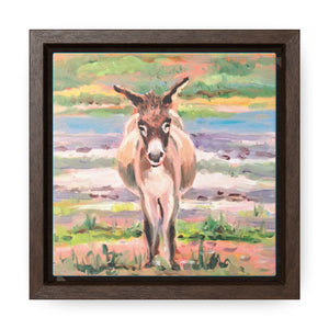 Open image in slideshow, South Caicos Donkey #3 on Square Framed Premium Gallery Wrap Canvas
