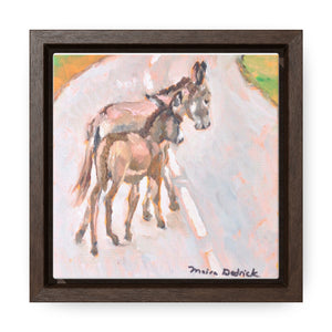 Open image in slideshow, South Caicos Donkey #4 on Square Framed Premium Gallery Wrap Canvas
