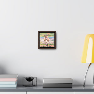 South Caicos Donkey #3 on Square Framed Premium Gallery Wrap Canvas