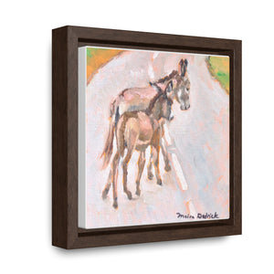 South Caicos Donkey #4 on Square Framed Premium Gallery Wrap Canvas