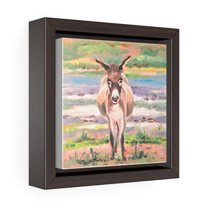 South Caicos Donkey #2 Print on Square Framed Premium Gallery Wrap Canvas