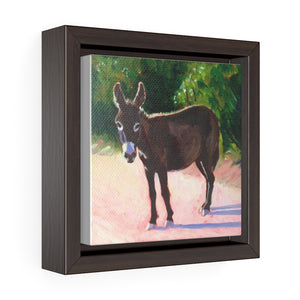 South Caicos Donkey #5  Print on Square Framed Premium Gallery Wrap Canvas