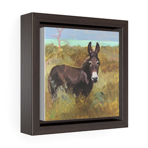 Open image in slideshow, South Caicos Donkey #7 Print on Square Framed Premium Gallery Wrap Canvas
