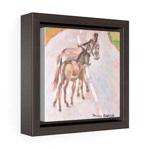 South Caicos Donkey #4 Print on Square Framed Premium Gallery Wrap Canvas